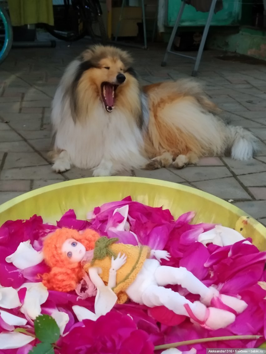 Все оттенки рыжих🧡 — Коллекционные игрушки и фигурки: Lego