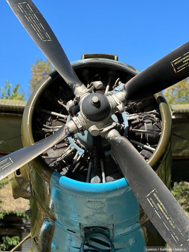 Мухина балка — Игровые куклы разных производителей (Разное): редкие бренды (фото 7)