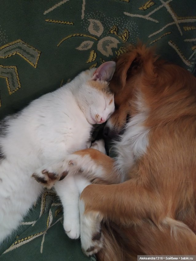 Все оттенки рыжих🧡 — Коллекционные игрушки и фигурки: Lego