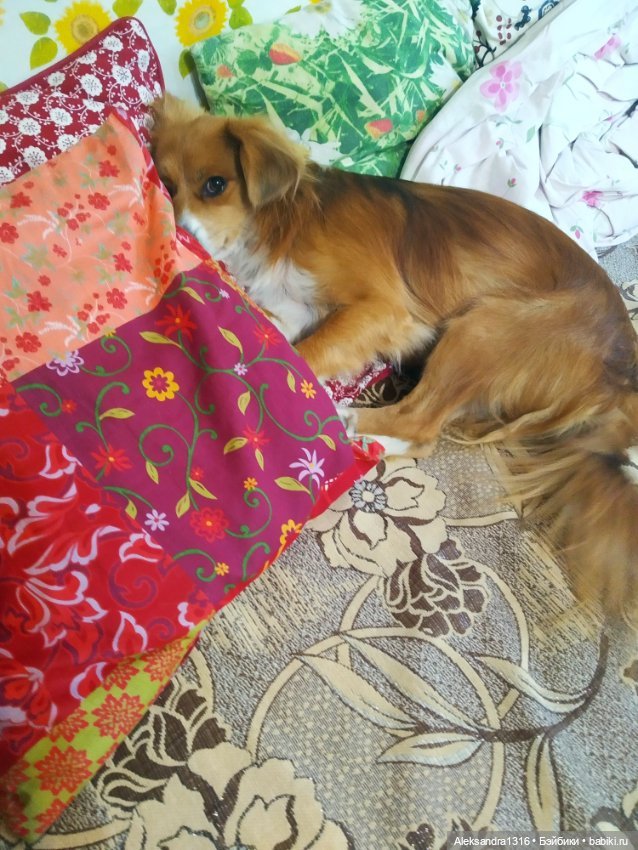 Все оттенки рыжих🧡 — Коллекционные игрушки и фигурки: Lego