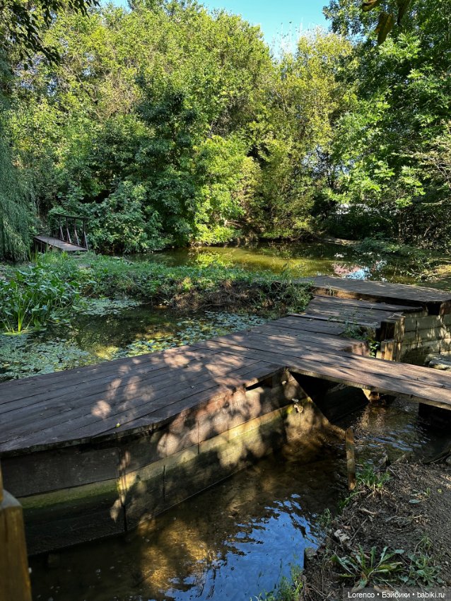 Таможенная застава — Игровые куклы разных производителей (Разное): редкие бренды