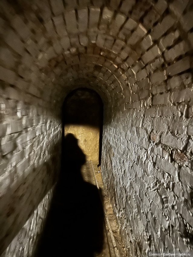 Таможенная застава — Игровые куклы разных производителей (Разное): редкие бренды