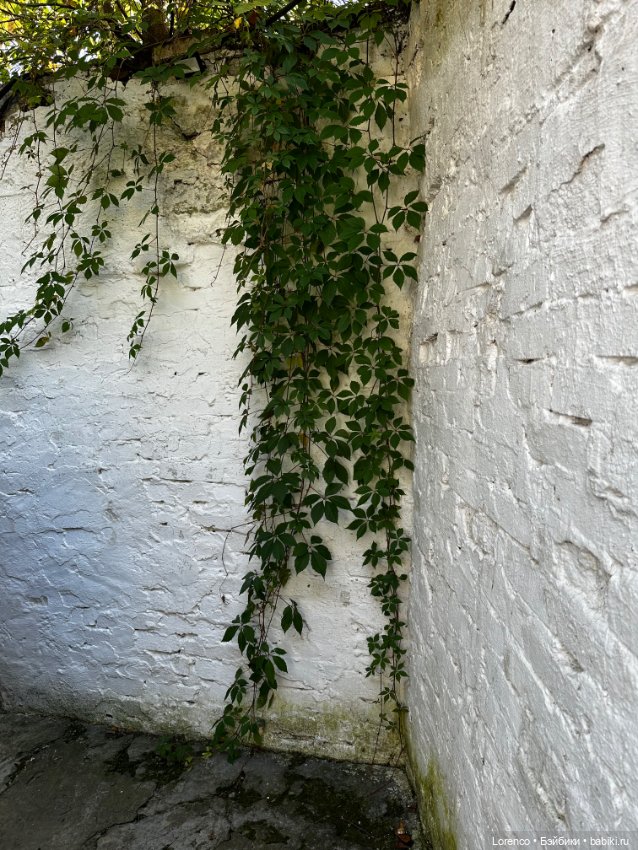 Таможенная застава — Игровые куклы разных производителей (Разное): редкие бренды