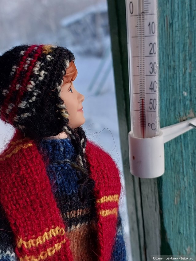 День рыжих людей — Аналоги Барби и куклы 1/6: клоны 90 (фото 5)