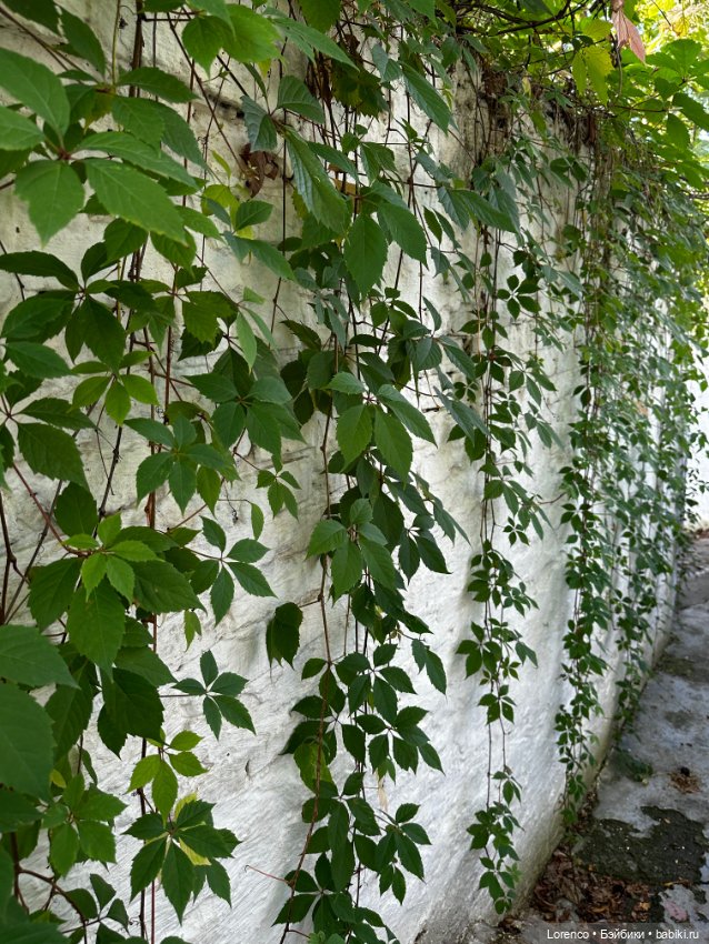 Таможенная застава — Игровые куклы разных производителей (Разное): редкие бренды