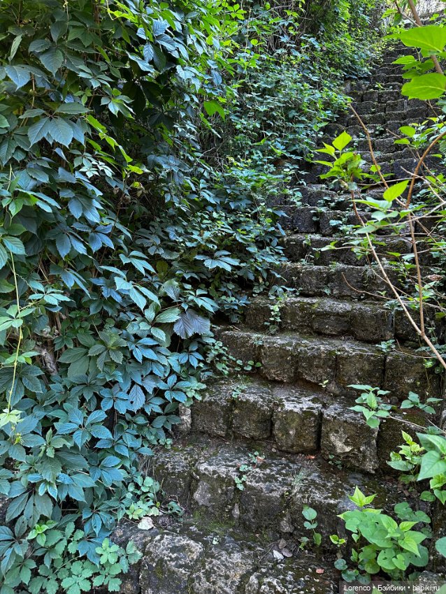 Таможенная застава — Игровые куклы разных производителей (Разное): редкие бренды