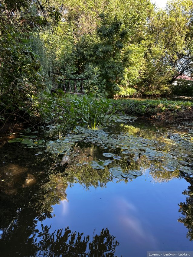 Таможенная застава — Игровые куклы разных производителей (Разное): редкие бренды