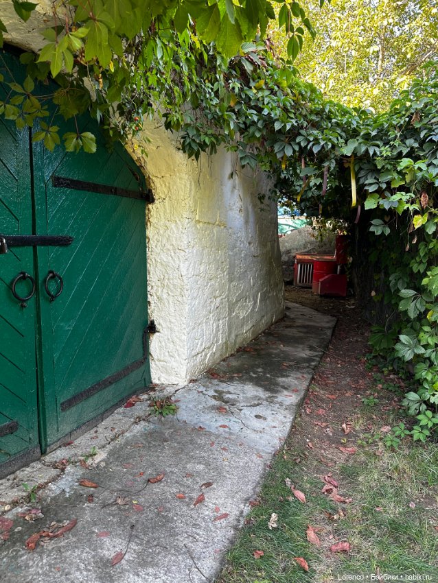 Таможенная застава — Игровые куклы разных производителей (Разное): редкие бренды