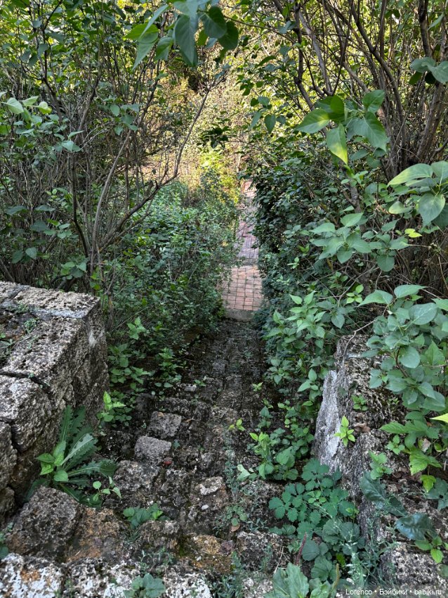 Таможенная застава — Игровые куклы разных производителей (Разное): редкие бренды