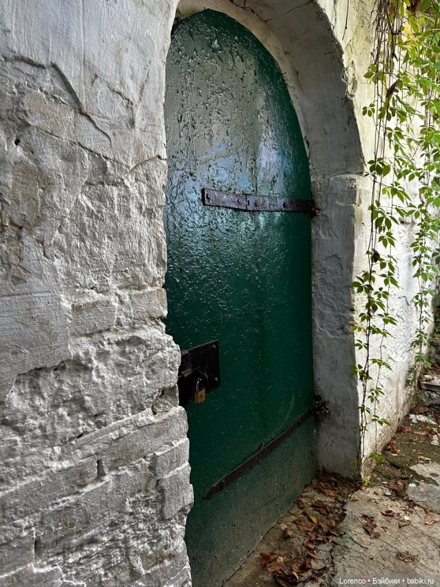 Таможенная застава — Игровые куклы разных производителей (Разное): редкие бренды