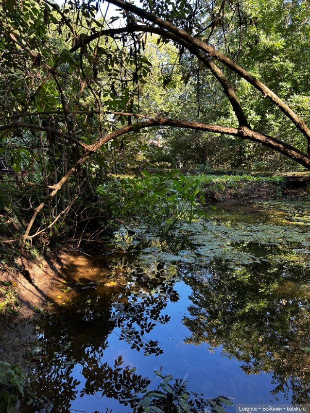 Таможенная застава — Игровые куклы разных производителей (Разное): редкие бренды