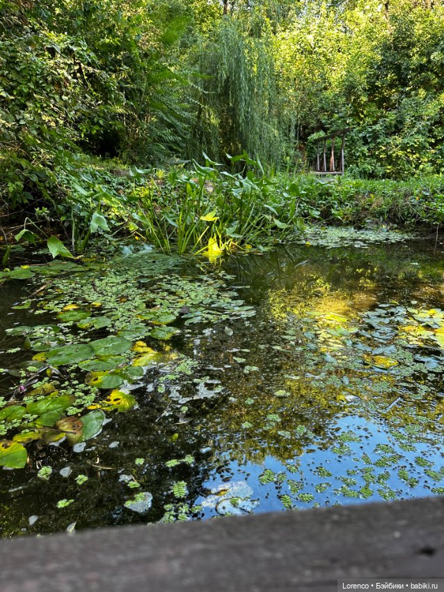 Таможенная застава — Игровые куклы разных производителей (Разное): редкие бренды