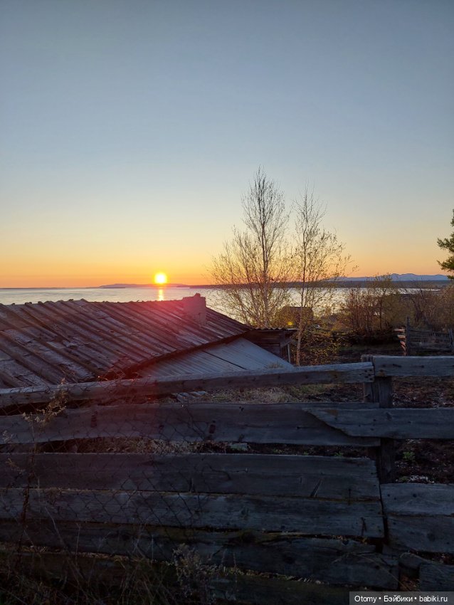 День рыжих людей — Аналоги Барби и куклы 1/6: клоны 90