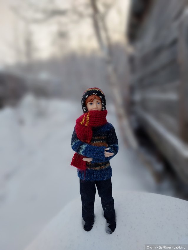 День рыжих людей — Аналоги Барби и куклы 1/6: клоны 90 (фото 6)