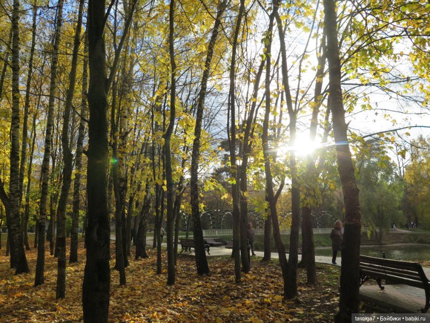 День Рыжих — Коллекции игровых кукол (Playline): фото полок