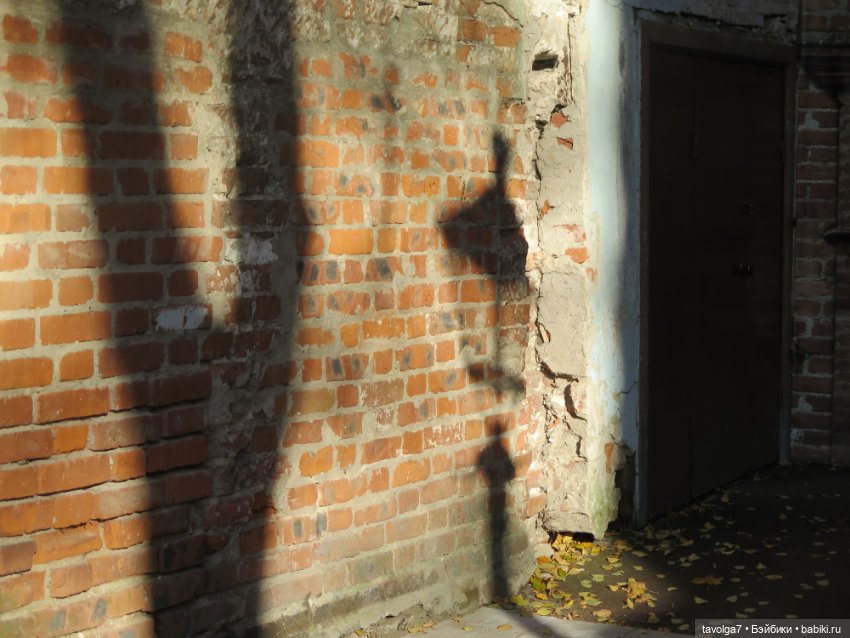 День Рыжих — Коллекции игровых кукол (Playline): фото полок