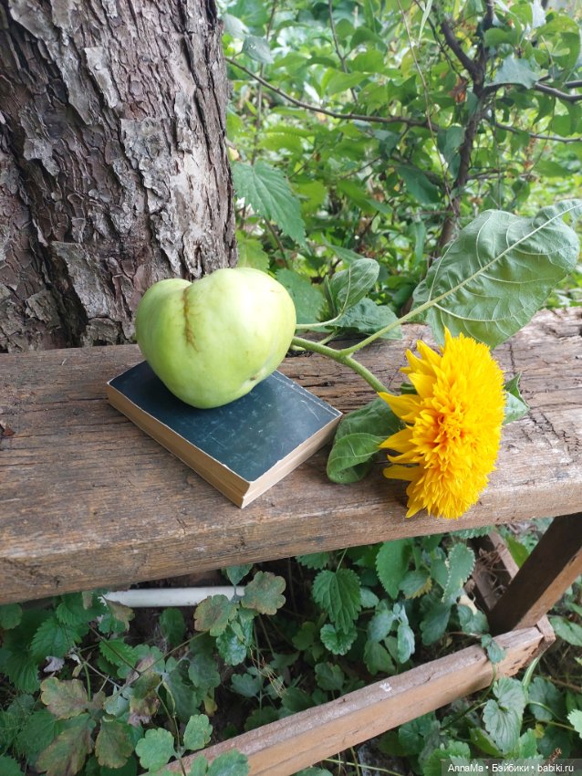 Просто осень — Антикварные куклы Jumeau (Жюмо): Tete Jumeau