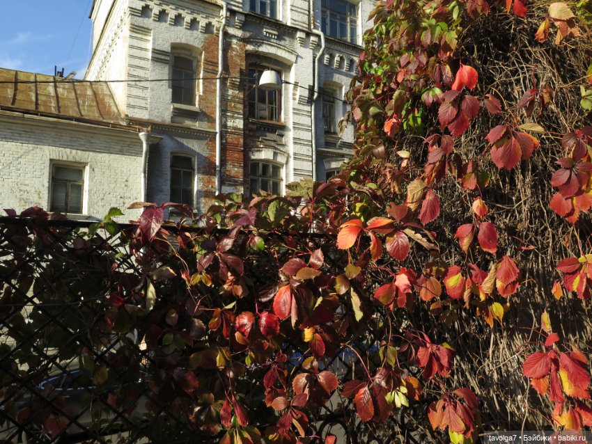 День Рыжих — Коллекции игровых кукол (Playline): фото полок