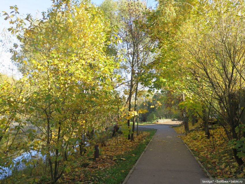 День Рыжих — Коллекции игровых кукол (Playline): фото полок (фото 3)