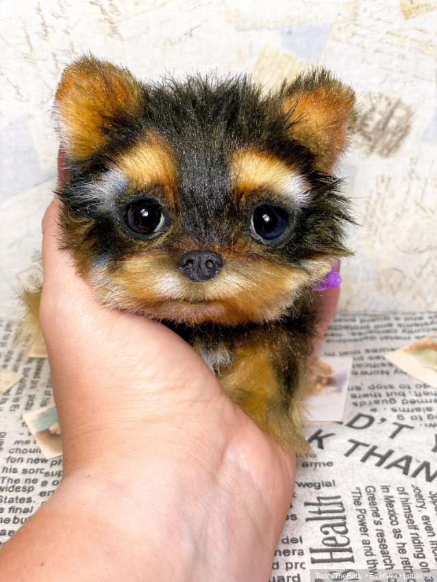 Hit (Хиточек) — Реалистичные игрушки и звери (Натюр): собаки (фото 4)