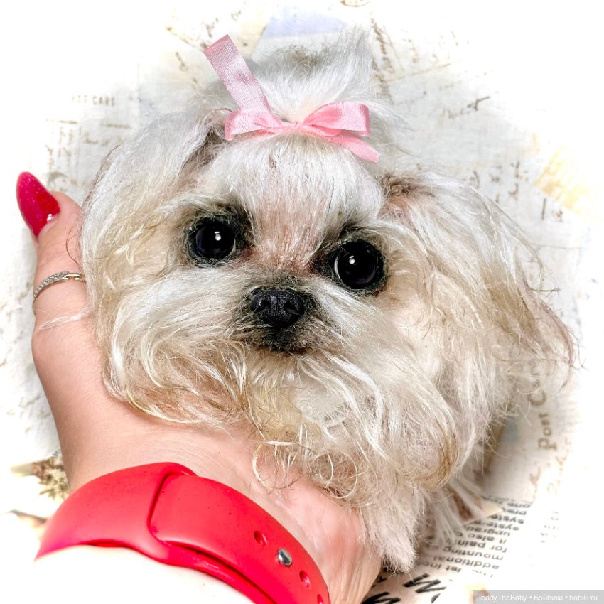 Summer — Реалистичные игрушки и звери (Натюр): собаки