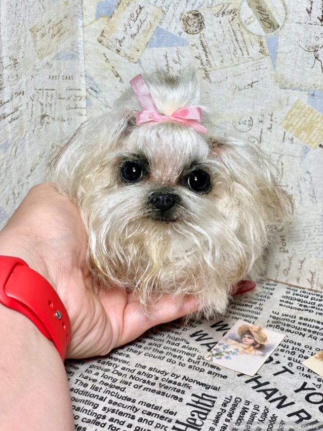 Summer — Реалистичные игрушки и звери (Натюр): собаки