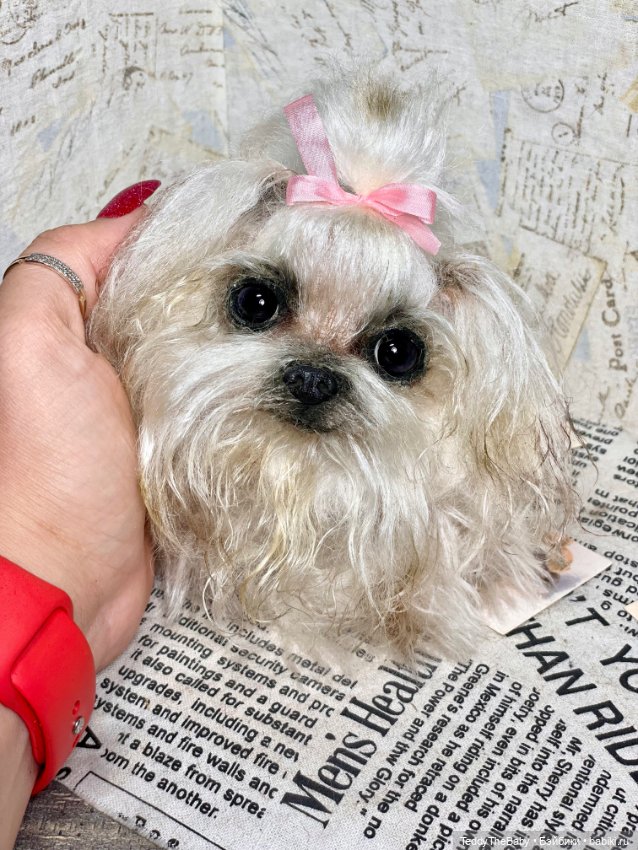 Summer — Реалистичные игрушки и звери (Натюр): собаки (фото 3)