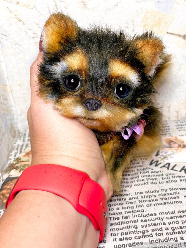 Hit (Хиточек) — Реалистичные игрушки и звери (Натюр): собаки (фото 6)