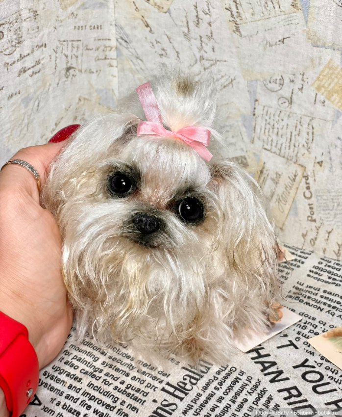 Summer — Реалистичные игрушки и звери (Натюр): собаки (фото 2)