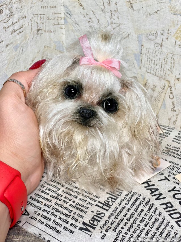 Summer — Реалистичные игрушки и звери (Натюр): собаки (фото 4)