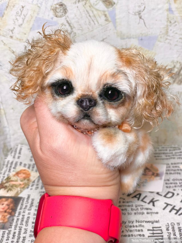 Персик 🍑 — Реалистичные игрушки и звери (Натюр): собаки