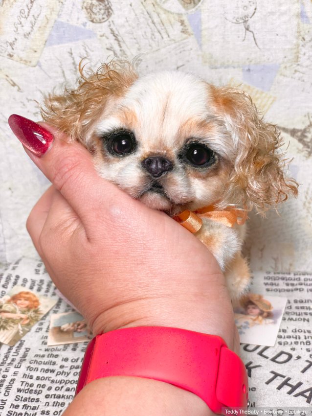 Персик 🍑 — Реалистичные игрушки и звери (Натюр): собаки (фото 5)