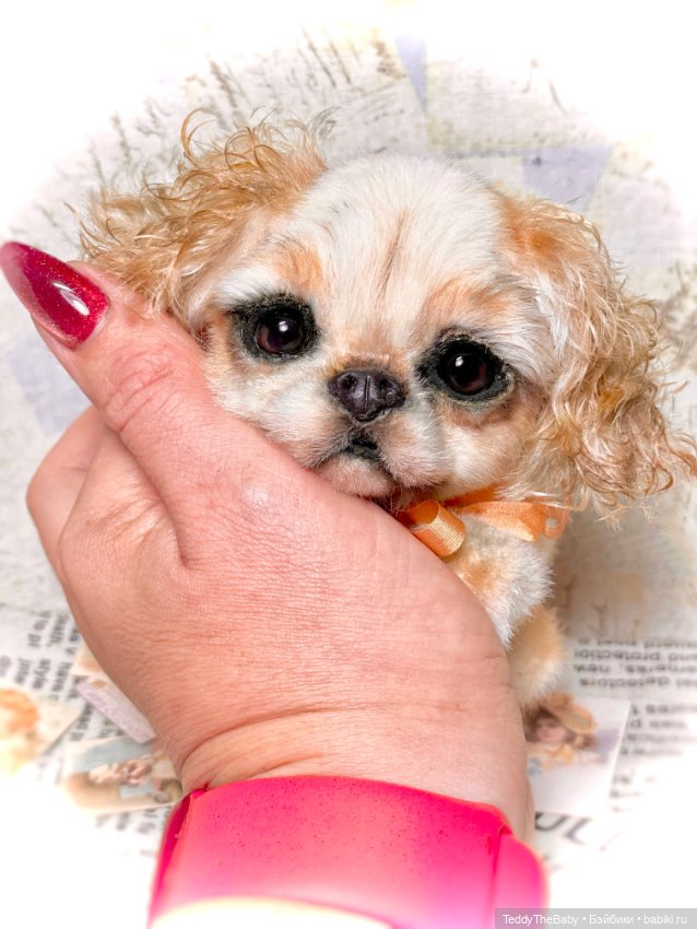 Персик 🍑 — Реалистичные игрушки и звери (Натюр): собаки (фото 2)