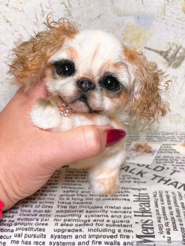 Персик 🍑 — Реалистичные игрушки и звери (Натюр): собаки