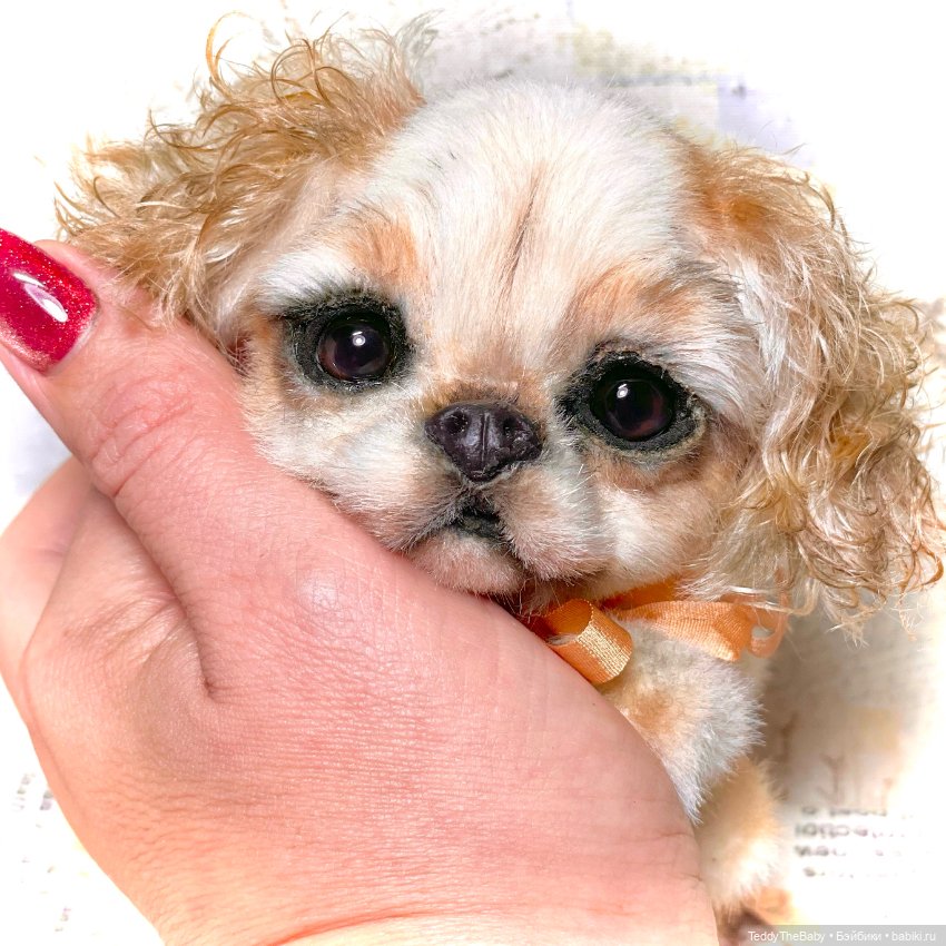 Персик 🍑 — Реалистичные игрушки и звери (Натюр): собаки