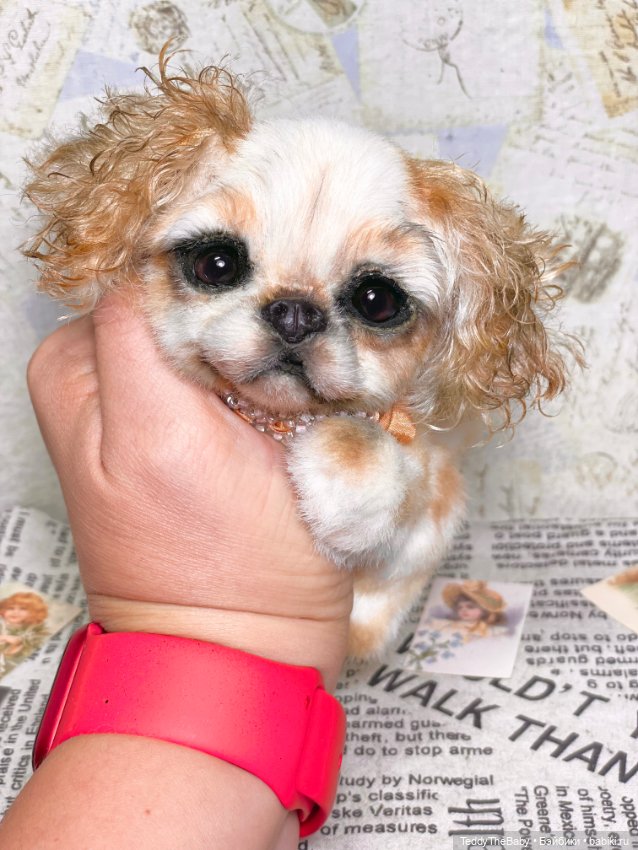 Персик 🍑 — Реалистичные игрушки и звери (Натюр): собаки