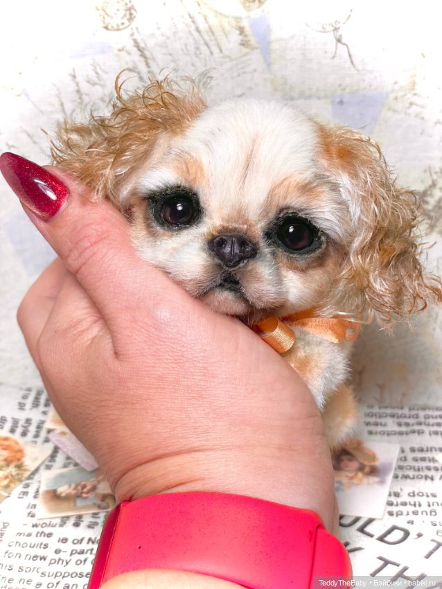 Персик 🍑 — Реалистичные игрушки и звери (Натюр): собаки (фото 4)