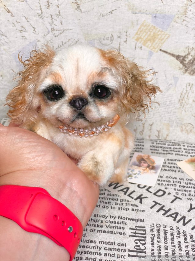 Персик 🍑 — Реалистичные игрушки и звери (Натюр): собаки (фото 9)