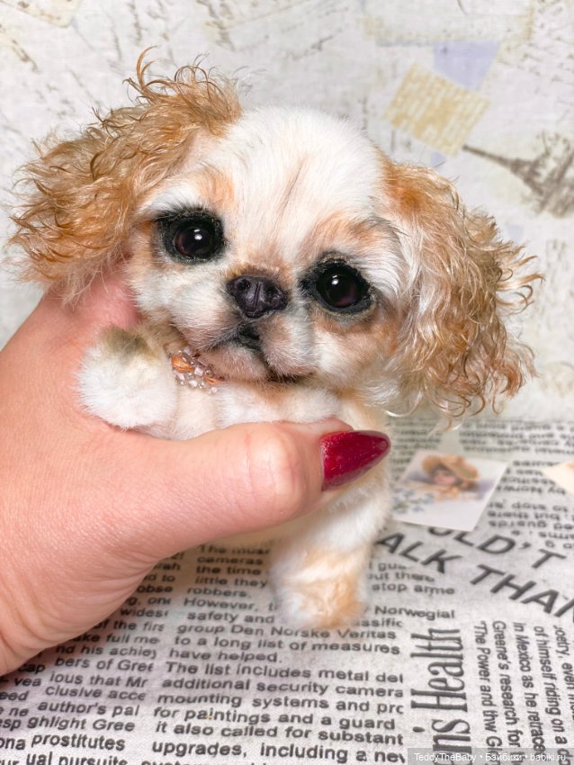 Персик 🍑 — Реалистичные игрушки и звери (Натюр): собаки