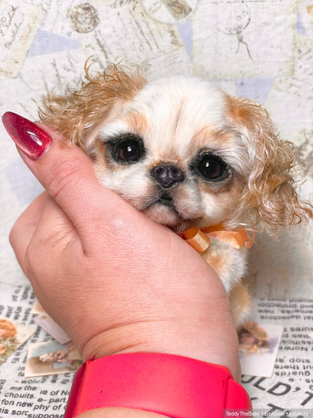 Персик 🍑 — Реалистичные игрушки и звери (Натюр): собаки (фото 3)