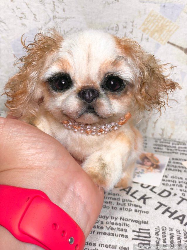 Персик 🍑 — Реалистичные игрушки и звери (Натюр): собаки (фото 8)