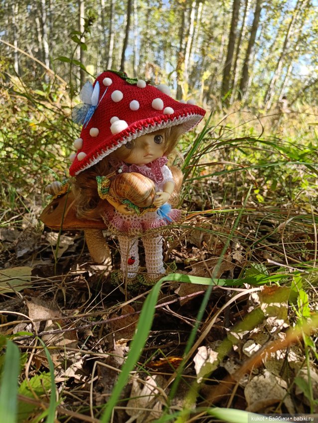Мухоморочка — Разные шарнирные куклы (не БЖД): редкие (фото 3)