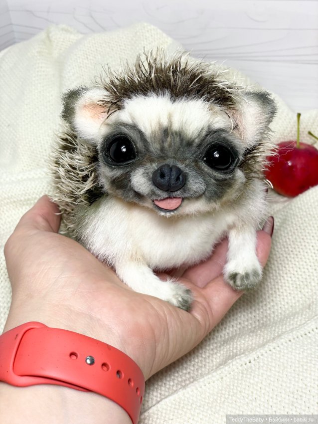 Yo-yo 🦔 — Реалистичные игрушки и звери (Натюр): собаки