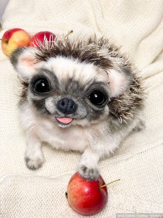 Yo-yo 🦔 — Реалистичные игрушки и звери (Натюр): собаки (фото 7)