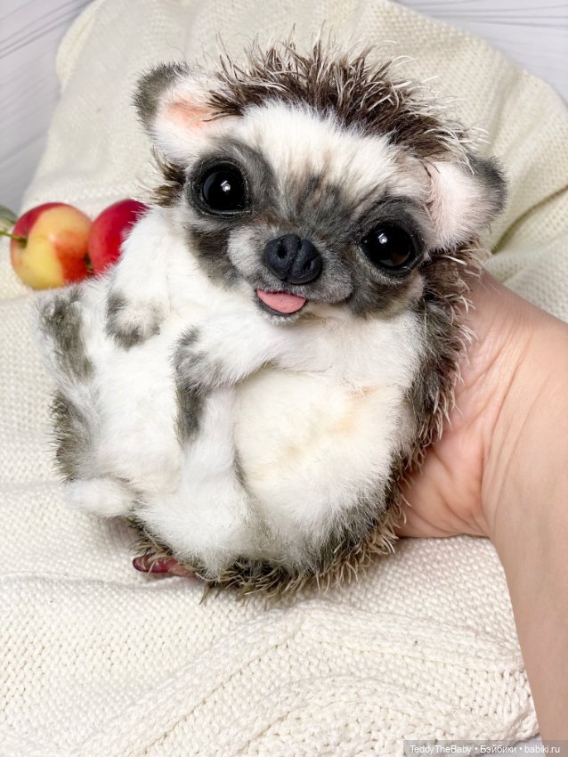 Yo-yo 🦔 — Реалистичные игрушки и звери (Натюр): собаки