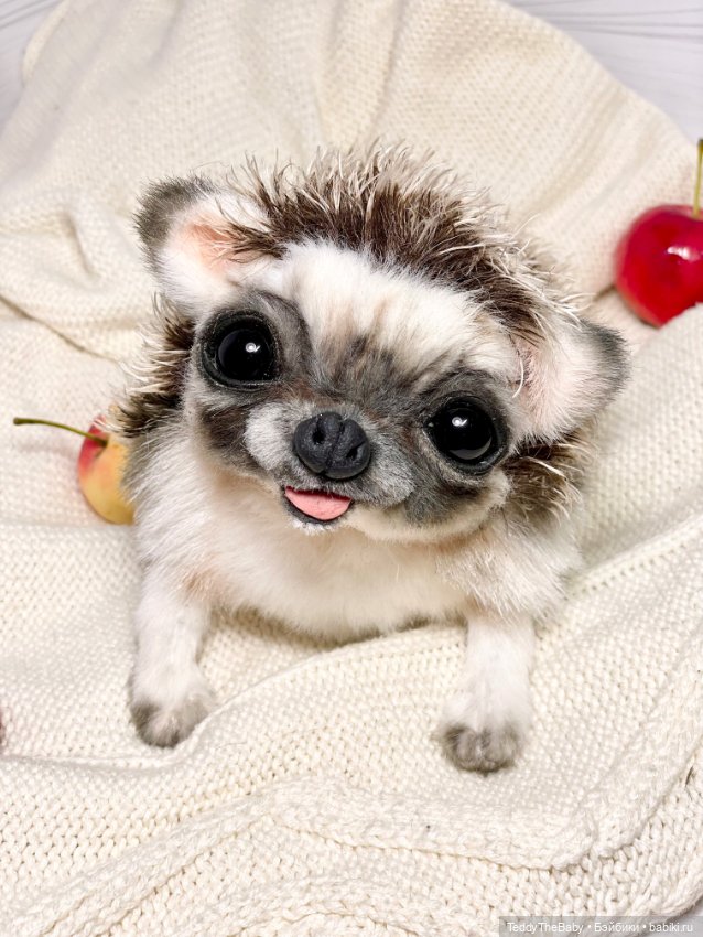 Yo-yo 🦔 — Реалистичные игрушки и звери (Натюр): собаки