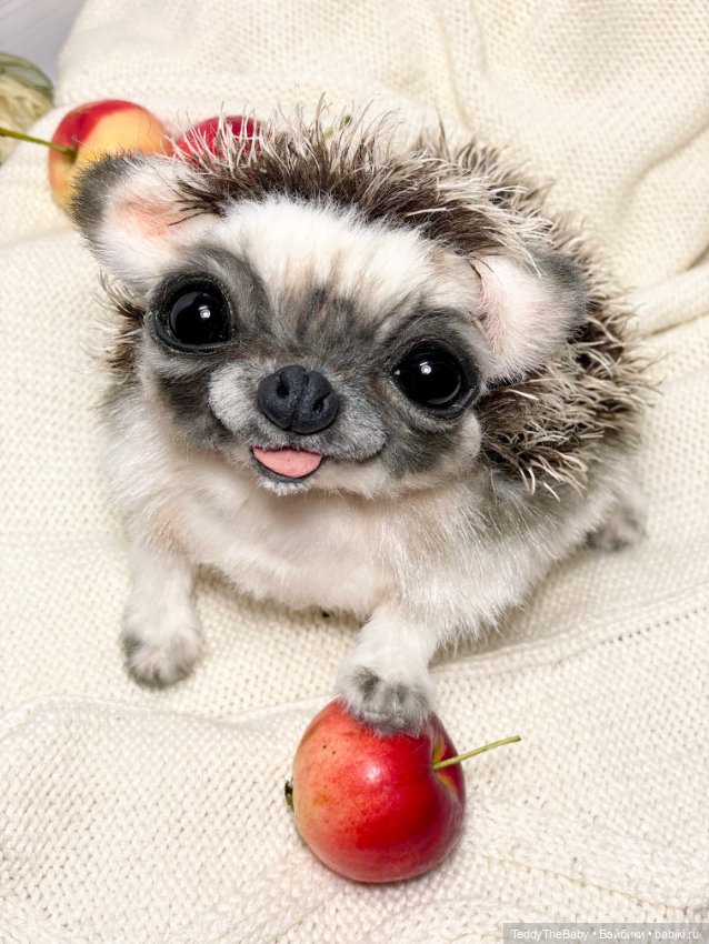 Yo-yo 🦔 — Реалистичные игрушки и звери (Натюр): собаки (фото 5)