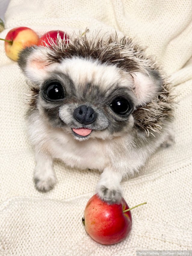 Yo-yo 🦔 — Реалистичные игрушки и звери (Натюр): собаки (фото 6)