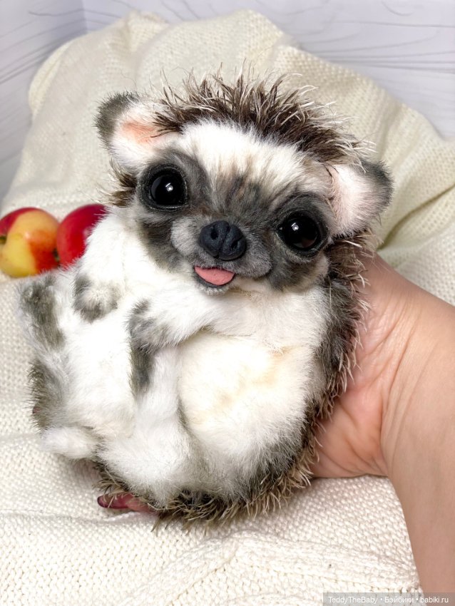 Yo-yo 🦔 — Реалистичные игрушки и звери (Натюр): собаки (фото 9)