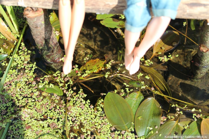 На пруду — Куклы Barbie (Барби): Looks